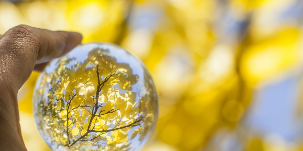 optimism lens